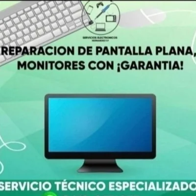 Servicios Electrónicos Hernández F.P.