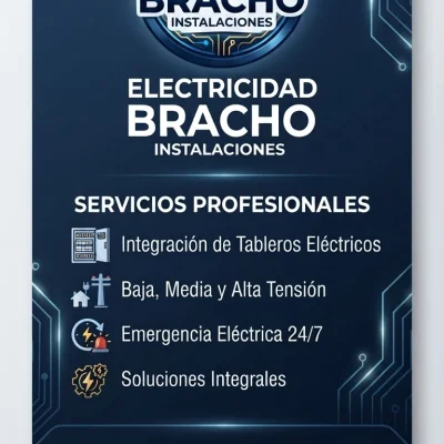 Álvaro Bracho Tsunami Electricidad Industrial