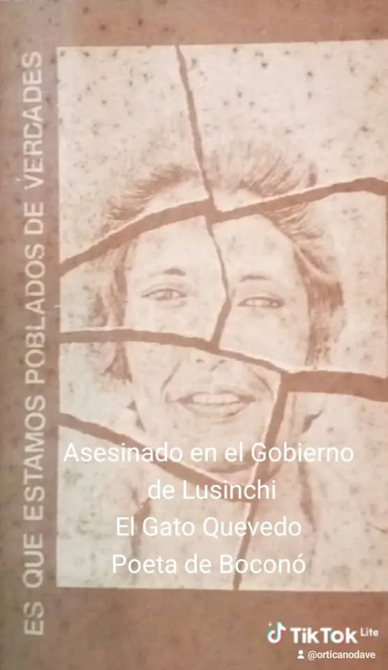 Edición de libros/Asesoría de tesis