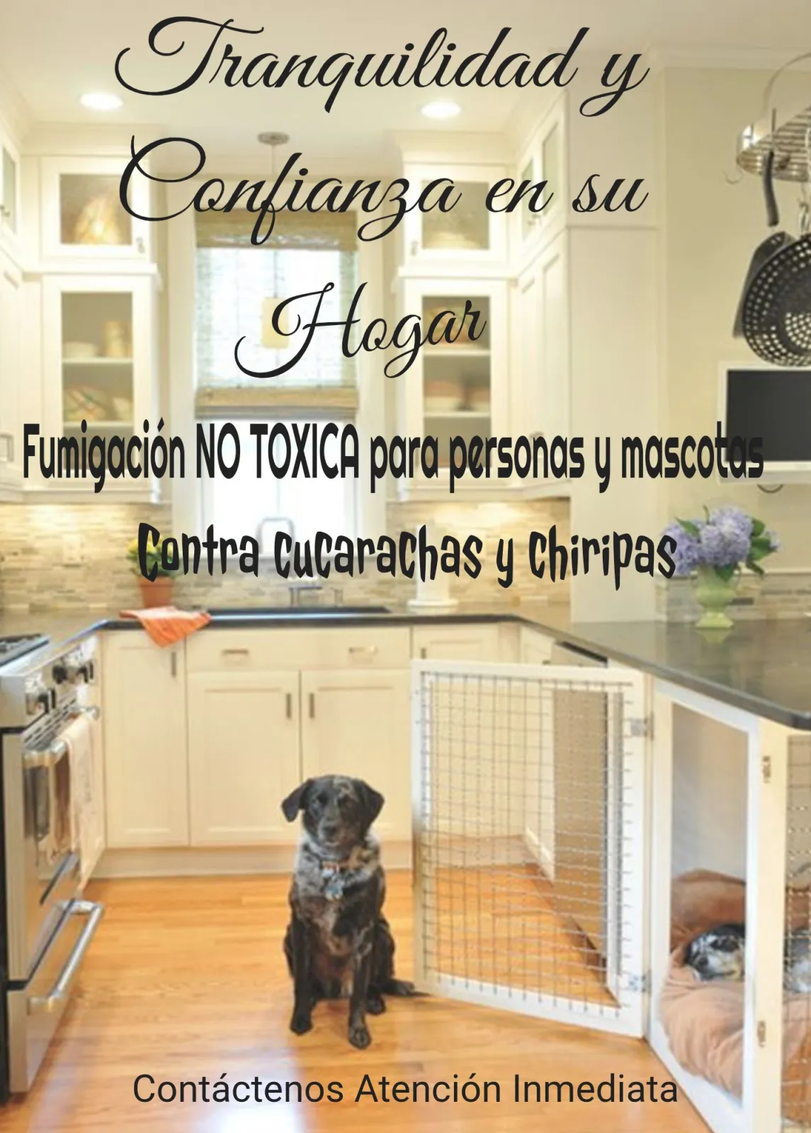 Fumigación No Tóxica cucarachas y chiripas