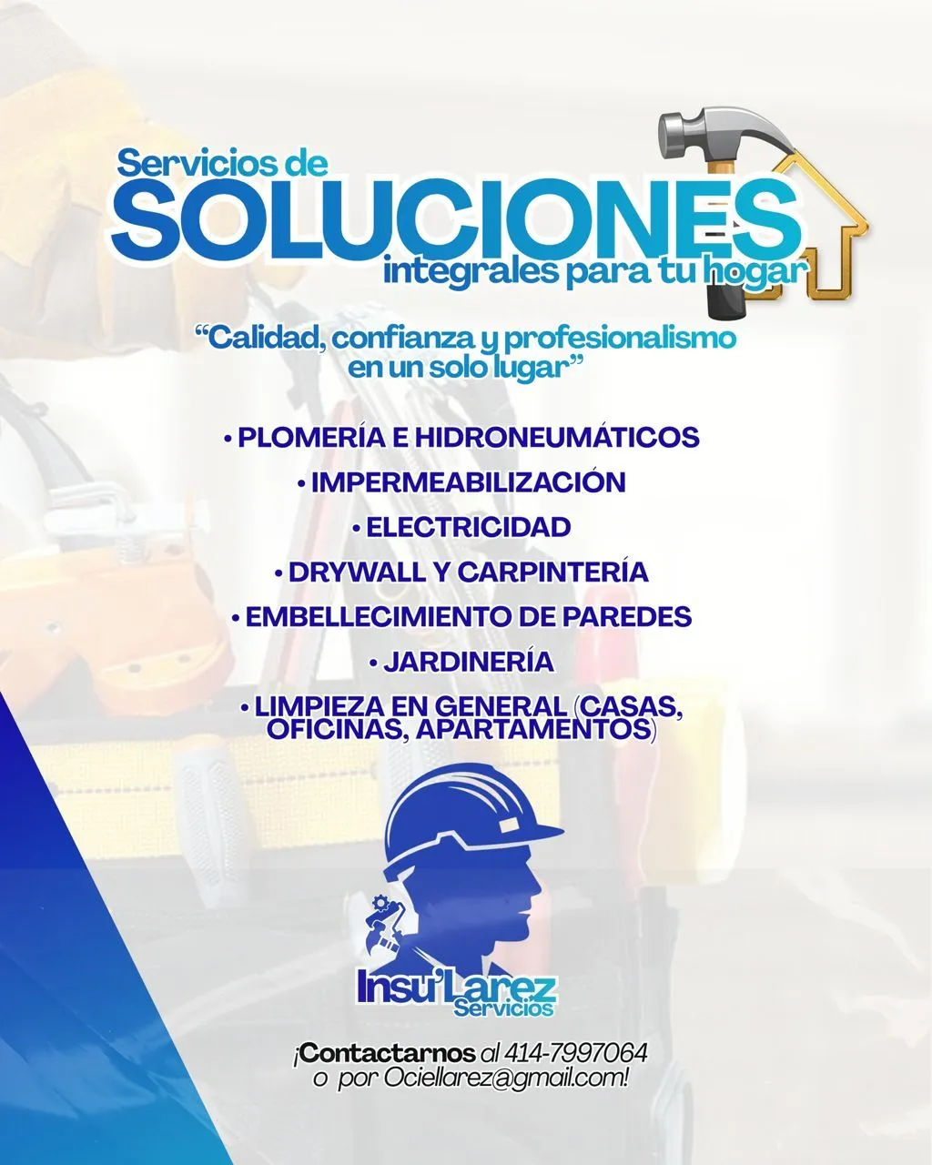 Servicios Insu'larez