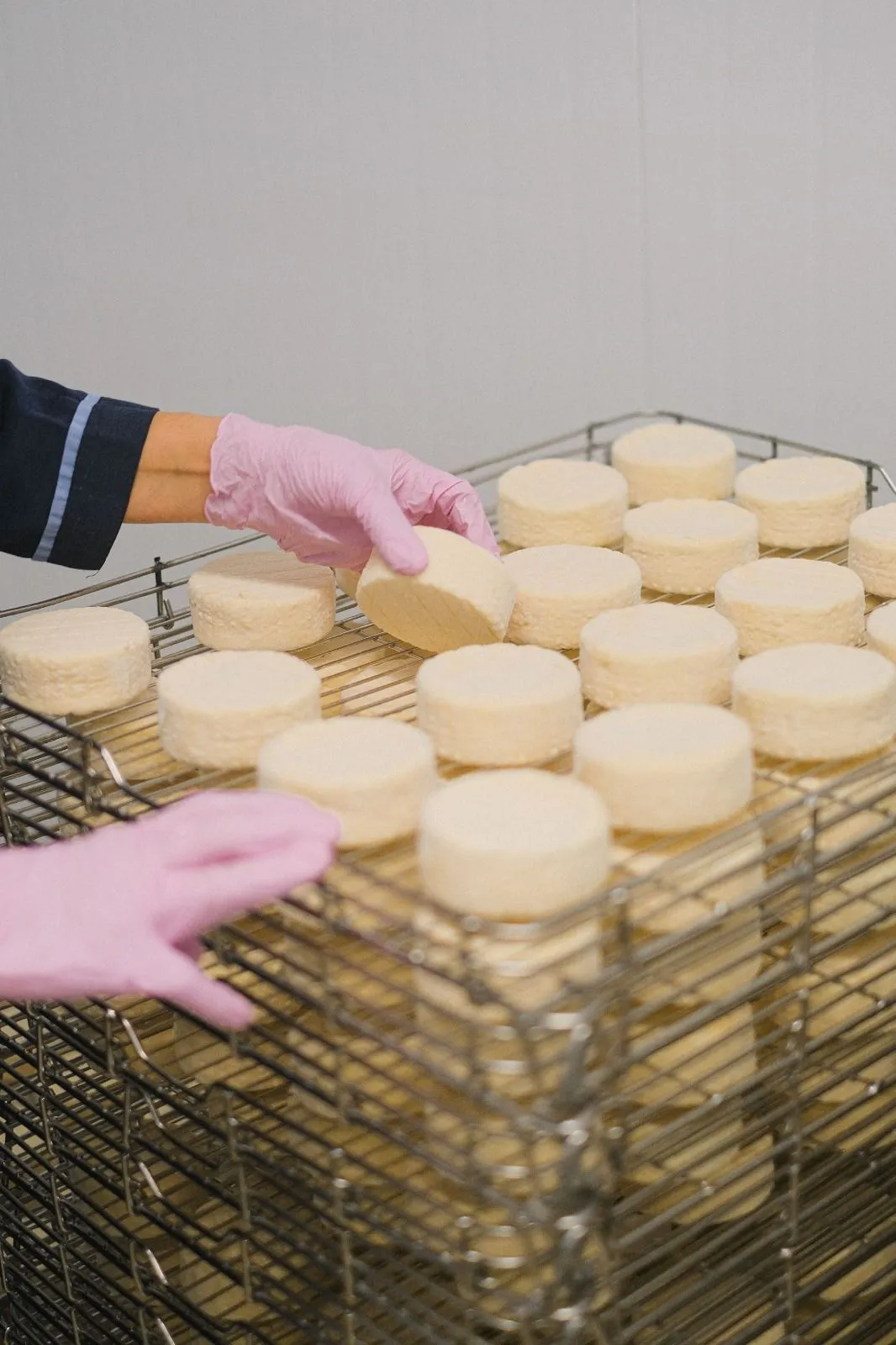 Desarrollo de Productos Alimenticios