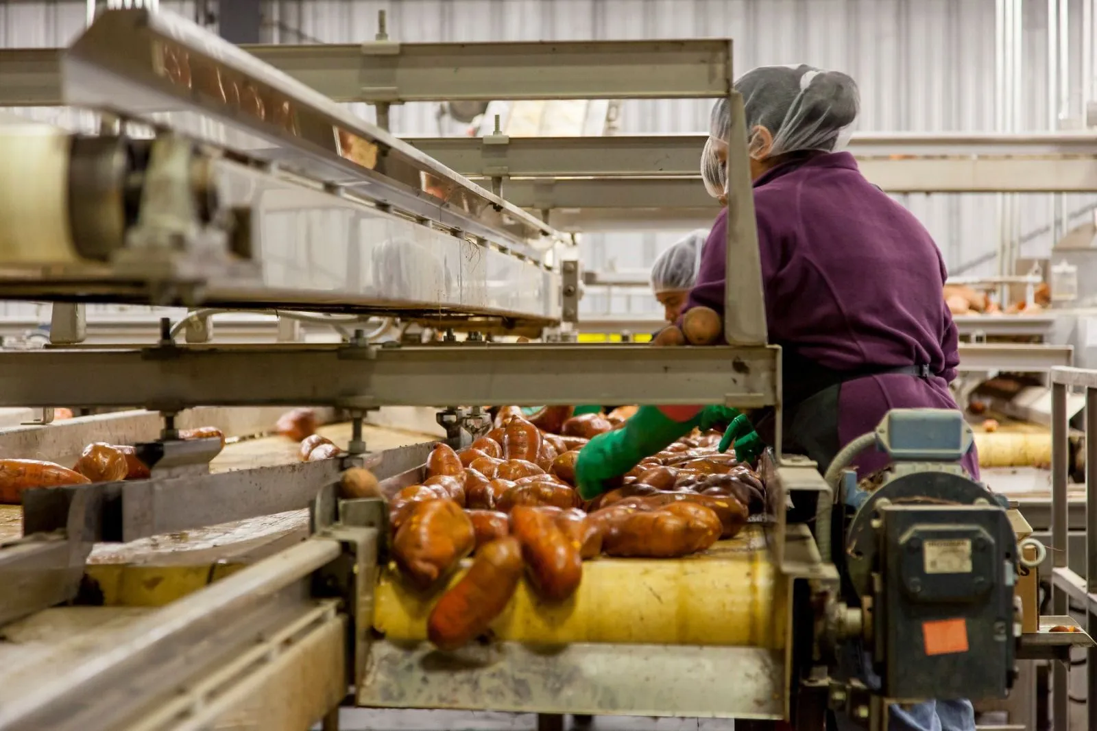 Desarrollo de Productos Alimenticios - Imagen 2