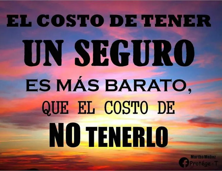 SEGUROS