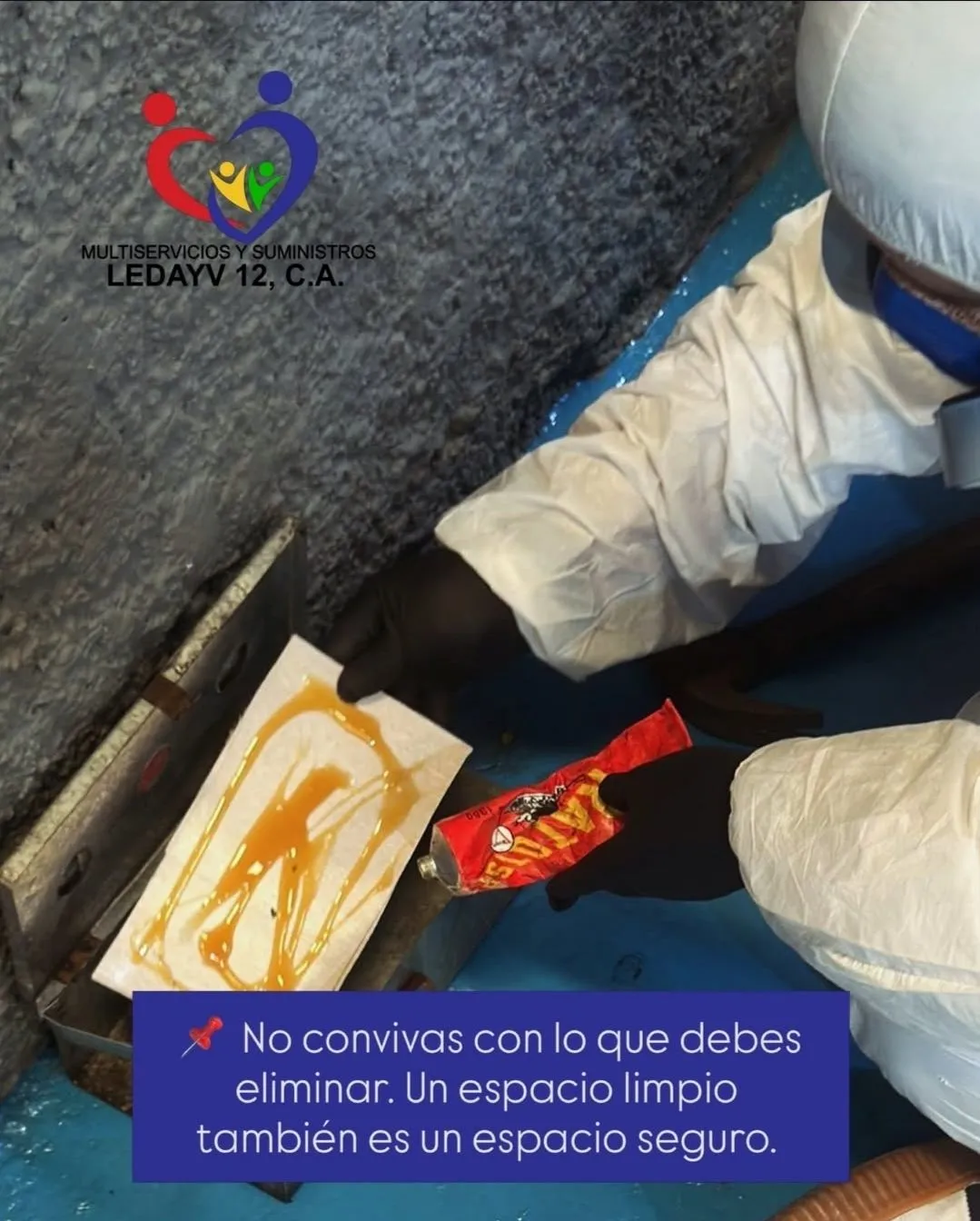 Control Integral de Plagas Urbano y Comercial - Imagen 2