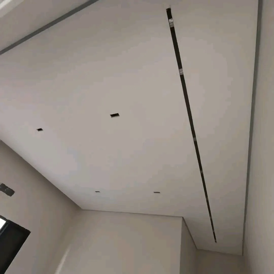 Drywall, Wall Panel, Techos en PVC, Pintura y Acabados - Imagen 2