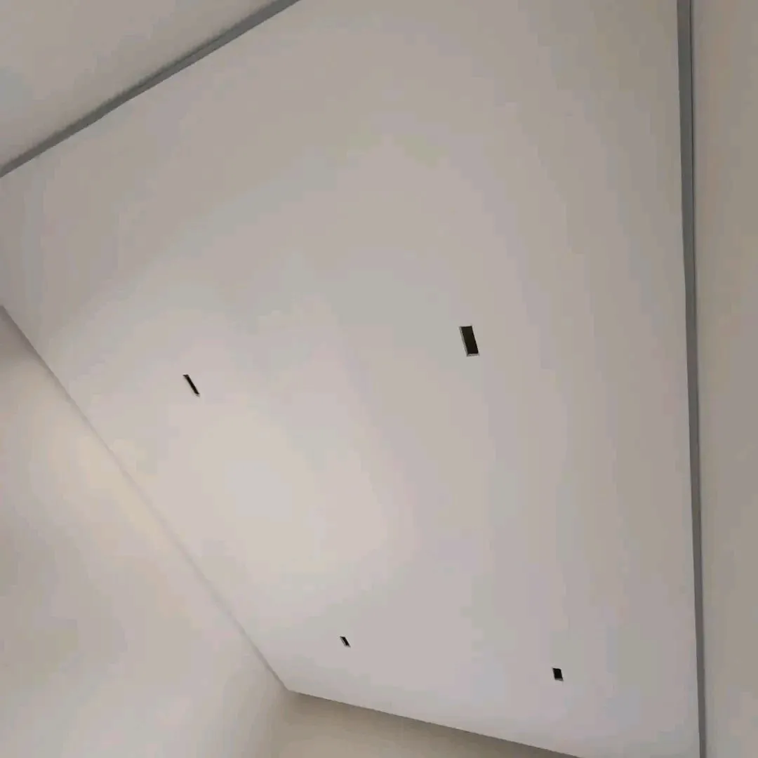 Drywall, Wall Panel, Techos en PVC, Pintura y Acabados - Imagen 5