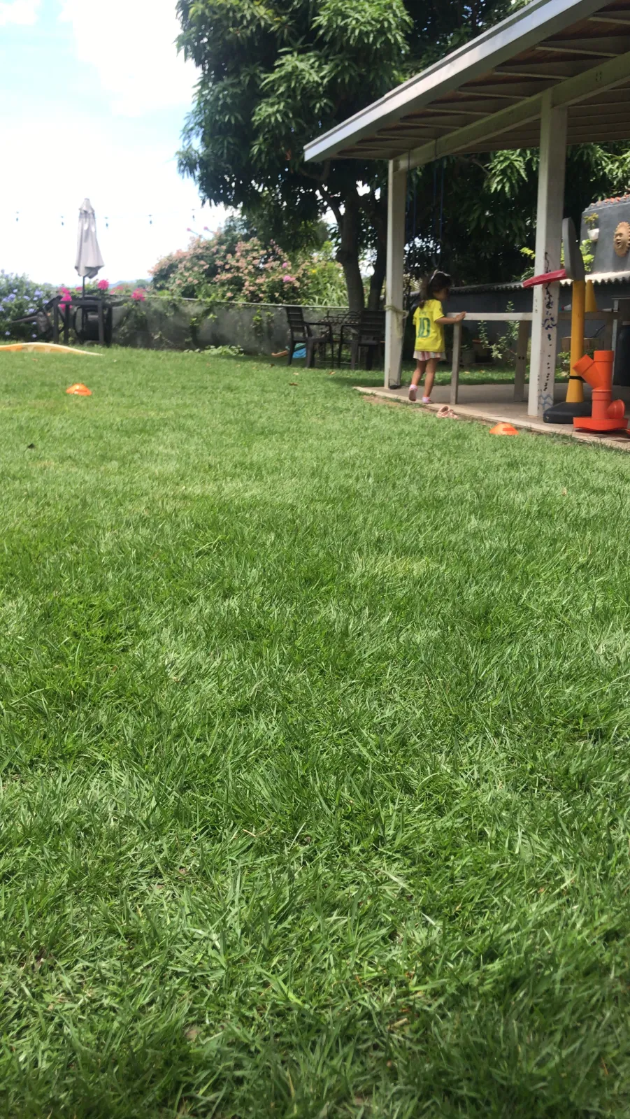 Jardineria